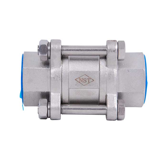 3 PC QUALITY VERTICAL THREADED SPRING TYPE CHECK VALVE (316)