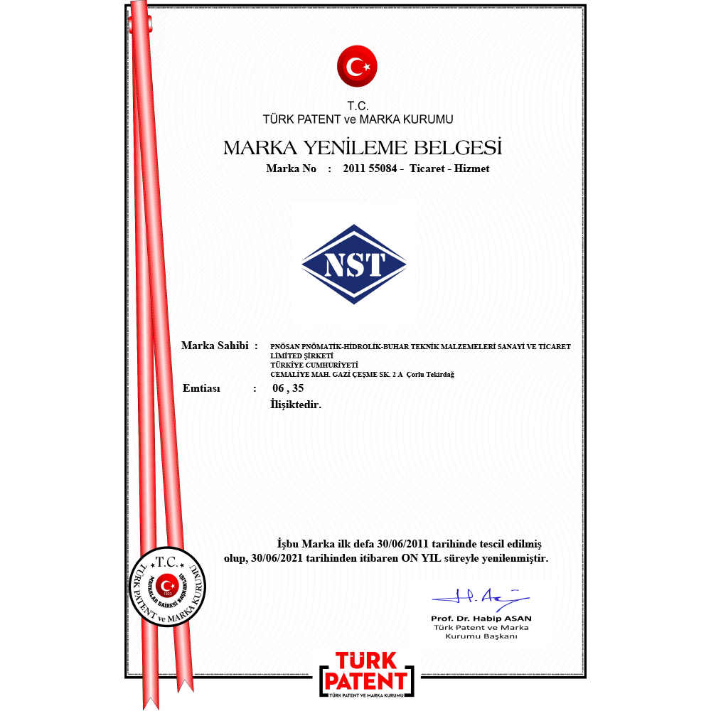 Trademark Registration Certificate - NST