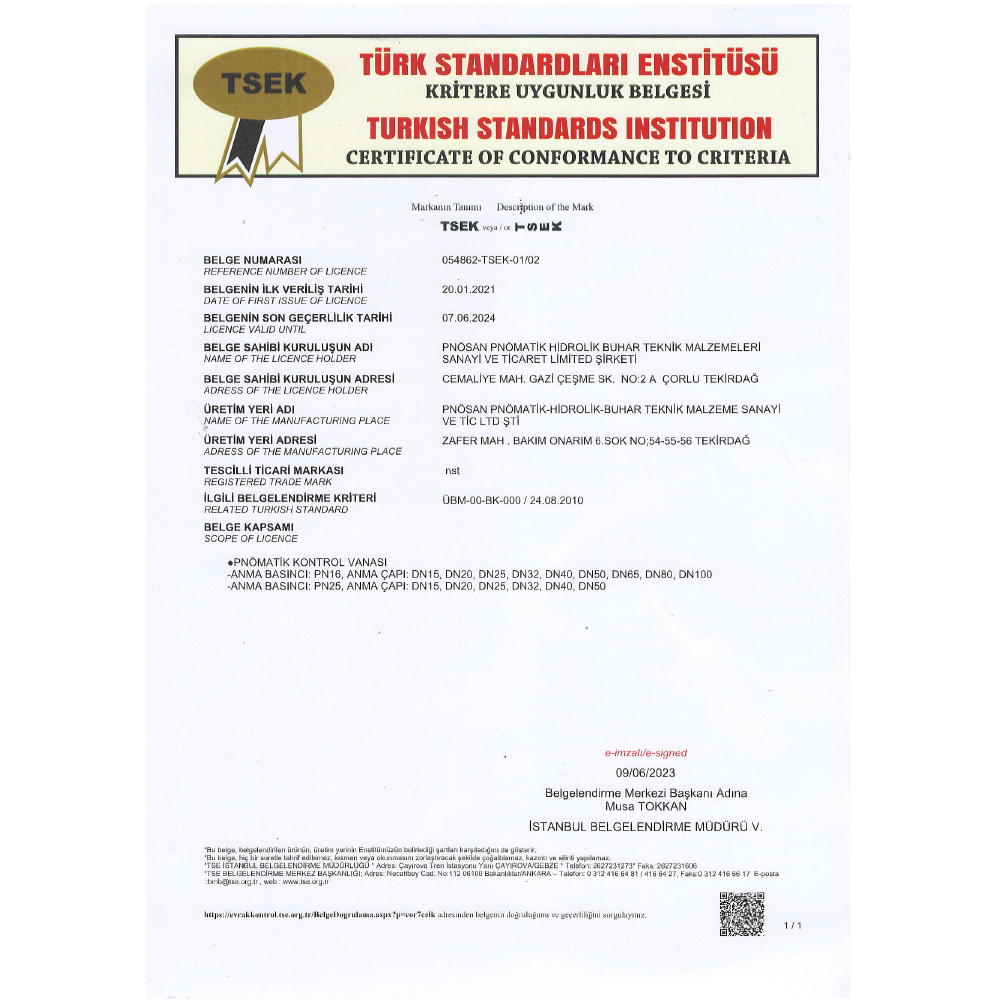 TSEK Certificate